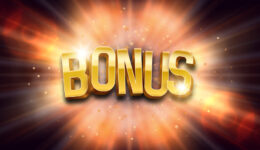 Bonus Casino: виды бонусов в казино