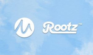 Rootz extends Microgaming partnership for new Wheelz online casino