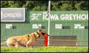 Iowa Greyhound Park to close its doors for good from May 15