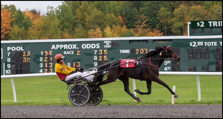 Maine’s historic Scarborough Downs venue ends its off-track betting service