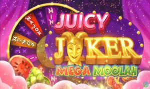 Microgaming to launch 20-plus slots in February