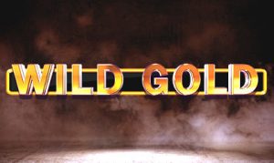 Spearhead Studios adds 30th title to its portfolio with launch of online slot Wild Gold