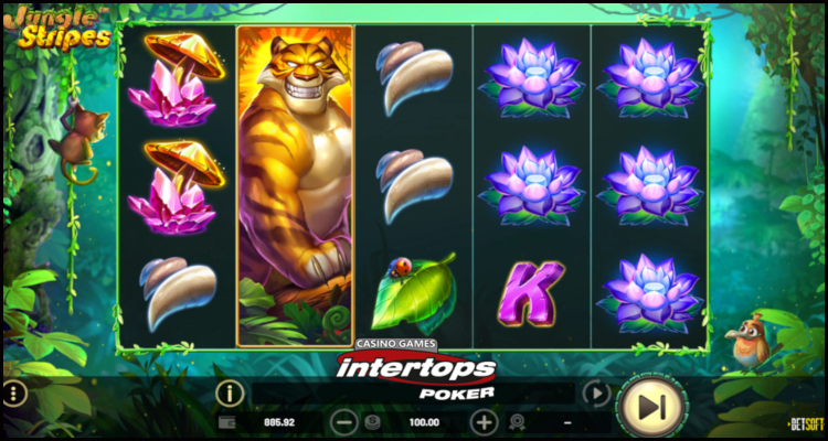 Intertops Poker running week-long Bitcoin bonus campaign