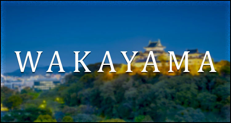 Wakayama Prefecture publishes casino implementation policy criteria