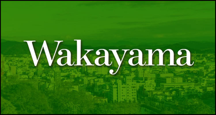 Wakayama Prefecture loses integrated casino resort operator candidate