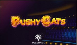 Yggdrasil announces new feline adventure online slot game Pushy Cats