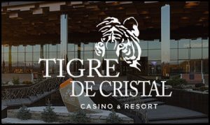 Summit Ascent Holdings Limited benefits from domestic Tigre De Cristal trade